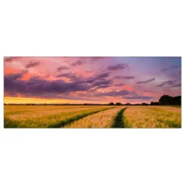 obraz-na-szkle-foto-pole-pszenicy-slonce-125x50