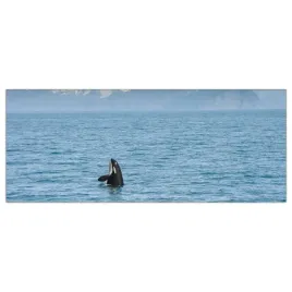 obraz-na-szkle-foto-ocean-wieloryb-morze-125x50