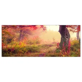 obraz-szklany-foto-obraz-jesien-las-drzewa-125x50