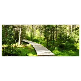 obraz-szklany-foto-obraz-sciezka-las-drzewa-125x50
