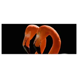 obraz-na-szkle-foto-flaming-ptak-zwierze-125x50