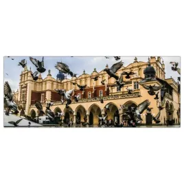 obraz-na-szkle-foto-golebie-krakow-rynek-125x50