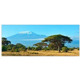 obraz-na-szkle-foto-park-narodowy-amboseli-125x50