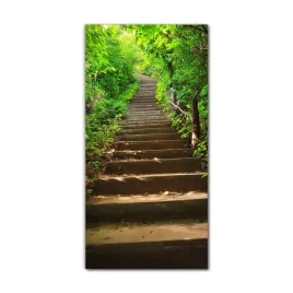foto-obraz-na-szkle-nowoczesny-70x140-las-drzewa