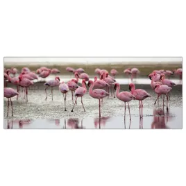 obraz-na-szkle-foto-flamingi-ptak-zwierzeta-125x50