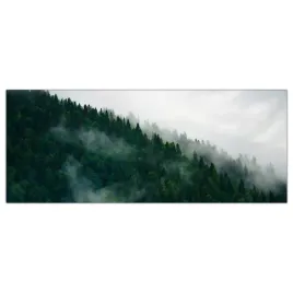 obraz-na-szkle-foto-mgla-gory-las-drzewa-125x50