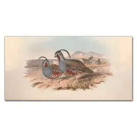 panele-szklane-do-kuchni-ptaki-zwierzeta-100x50-cm