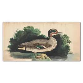 szklo-hartowane-do-kuchni-ptak-rysunek-100x50-cm