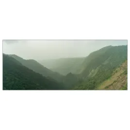 obraz-szklany-foto-obraz-tropiki-las-mgla-125x50
