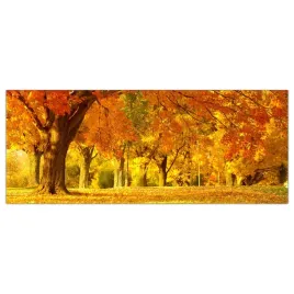 obraz-na-szkle-foto-jesien-las-krajobraz-125x50