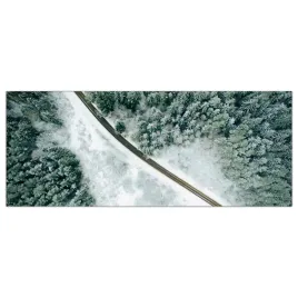 obraz-na-szkle-foto-snieg-zima-las-drzewa-125x50