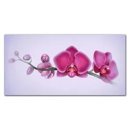 panel-szklo-akwarela-kwiat-galaz-orchidea-100x50