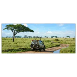 obraz-na-szkle-foto-safari-afryka-krajobraz-125x50