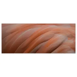 obraz-na-szkle-foto-flaming-ptak-zwierze-125x50