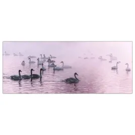 hartowany-obraz-szklany-labedz-jezioro-zima-125x50