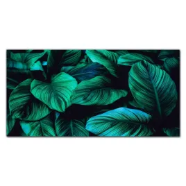 panel-szklo-hartowane-kwiat-liscie-rosliny-100x50