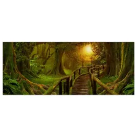 obraz-na-szkle-foto-tropiki-dzungla-natura-125x50