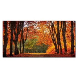 lacobel-panel-kuchnia-las-jesien-przyroda-100x50