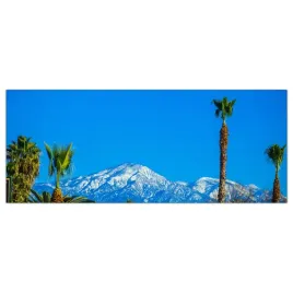 obraz-szklany-foto-obraz-los-angeles-snieg-125x50