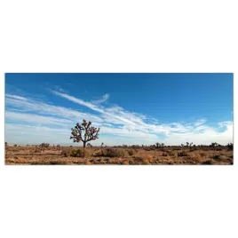 obraz-szklany-foto-obraz-pustynia-natura-125x50