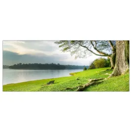 hartowany-obraz-szklany-laka-drzewa-natura-125x50