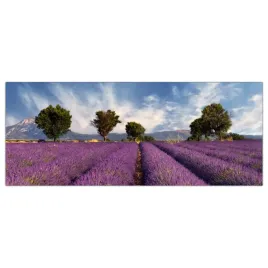 hartowany-obraz-szklany-lawenda-pole-natura-125x50
