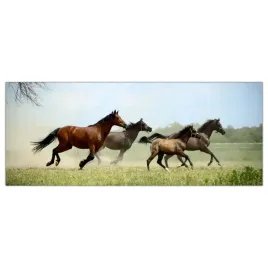 obraz-na-szkle-foto-konie-galop-zwierzeta-125x50
