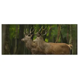 obraz-na-szkle-foto-jelen-natura-zwierze-125x50