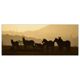 obraz-na-szkle-foto-zebry-afryka-zwierzeta-125x50