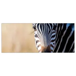 hartowany-obraz-szklany-zebra-safari-afryka-125x50