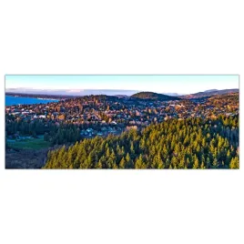 obraz-szklany-foto-obraz-las-zachod-slonca-125x50