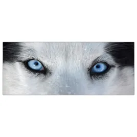 obraz-szklany-foto-obraz-husky-oczy-pies-125x50