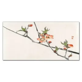 szklo-panel-kuchnia-oddzialy-kwiaty-natura-100x50