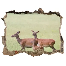 dziura-3d-fototapeta-naklejka-sarny-z-mlodymi