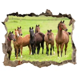 dziura-3d-fototapeta-naklejka-stado-koni-na-lace