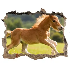 dziura-3d-fototapeta-naklejka-zrebie-w-galopie