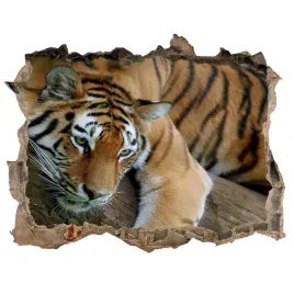 dziura-3d-fototapeta-naklejka-tygrys-na-drzewie