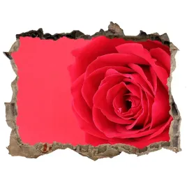dziura-3d-fototapeta-scienna-czerwona-roza-168x113