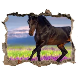 fototapeta-dziura-3d-na-sciane-kon-na-polu-lawendy