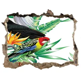 dziura-3d-fototapeta-scienna-tropikalne-ptaki