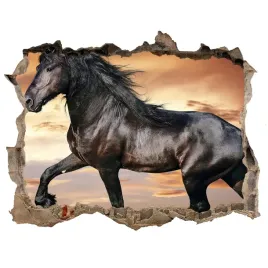 dziura-dekoracja-na-sciane-klusujacy-kon-168x113