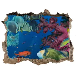 dziura-3d-naklejki-na-sciane-rafa-koralowa-168x113