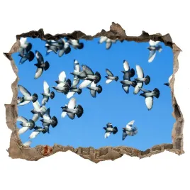 dziura-3d-fototapeta-naklejka-stado-golebi-168x113
