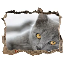 dziura-3d-fototapeta-naklejka-szary-kot-168x113