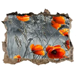 samoprzylepna-naklejka-scienna-polne-maki-168x113