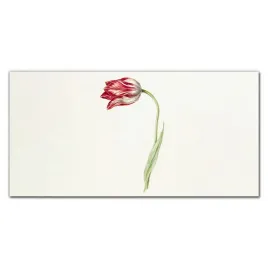 szklo-lacobel-do-kuchni-kwiaty-rosliny-100x50-cm
