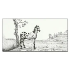 hartowane-panele-szklane-zwierzeta-kon-100x50-cm