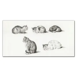 panele-szklane-do-kuchni-zwierzeta-koty-100x50-cm