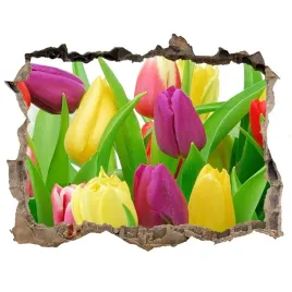 samoprzylepna-naklejka-na-sciane-kolorowe-tulipany
