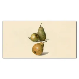 panele-szklane-do-kuchni-owoce-gruszki-100x50-cm